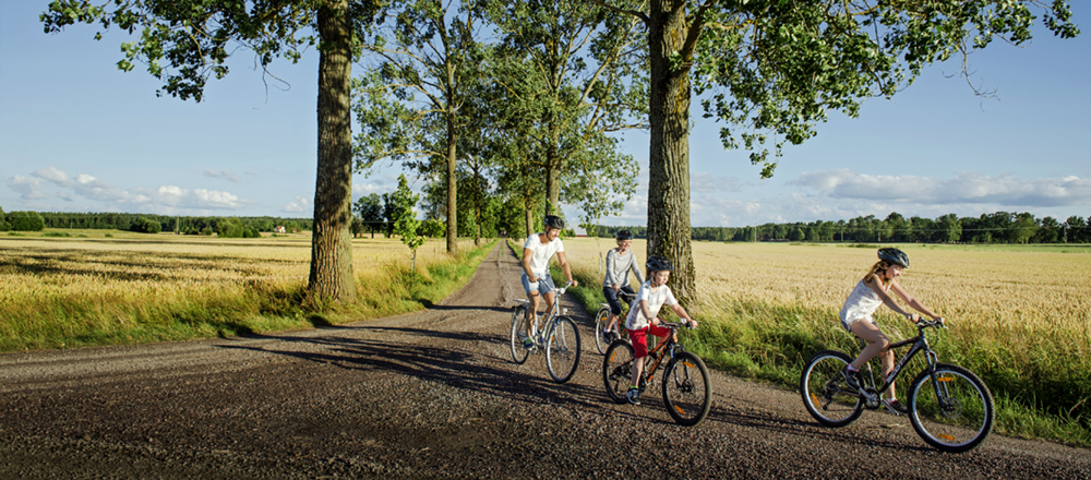 Bergslagen Cycling